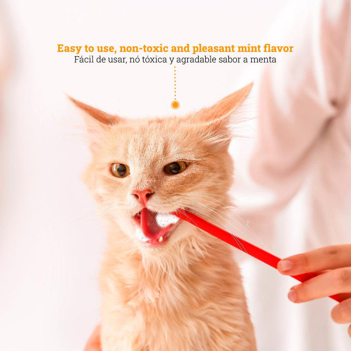 Kanu Pet Fresh Breath Oral Care Cat Dental Foam | Kanu Pet