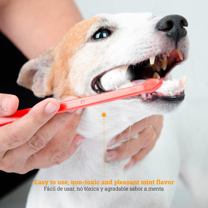 Kanu Pet Fresh Breath Oral Care Dog Dental Foam | Kanu Pet