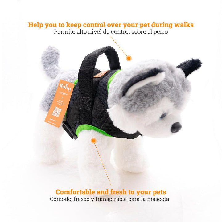 Kanu Pet Bruce Green-Gray Dogs Harness | Kanu Pet