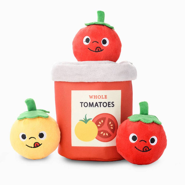 HugSmart Pet Sunday Tomato - Tomato Can Interactive Dog Toy | Kanu Pet