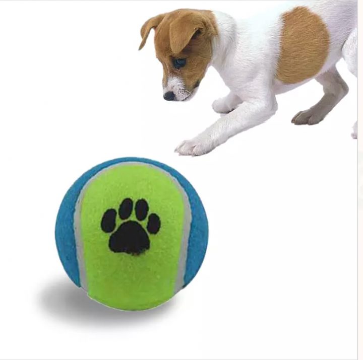 Kanu Pet Squeaking Tennis Ball Dog Toy | Kanu Pet