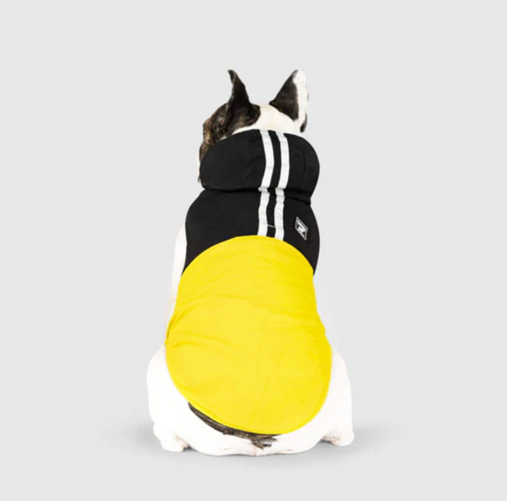 Canada Pooch Pack It Jacket Black & Yellow | Kanu Pet
