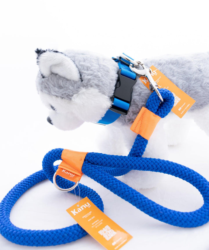 Kanu Pet Blue Dog Leash with Padded Handle | Kanu Pet