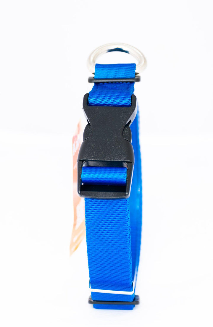 Kanu Pet Blue Dog Collar | Kanu Pet