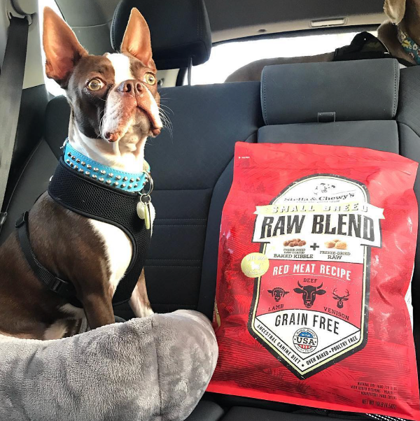 Stella & Chewy's Raw Blend Red Meat Small Breed Dog Food | Kanu Pet