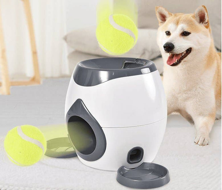 Dog Hugs Cat  Automatic Pet Training and Feeding System | Kanu Pet